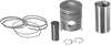 REBORE SLEEVE & PISTON KIT, COMPLETE FOR 4 CYLINDERS. KIT CONTAINS SLEEVES, PISTONS, PINS, RETAINERS, AND RINGS. 1 KIT USED IN 4T-390 4 CYLINDER TURBOCHARGED DIESEL ENGINE