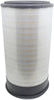Baldwin Air Filter (PA2456)