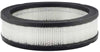Baldwin Air Filter (PA2063)