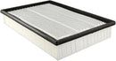 Baldwin Air Filter (PA10022)