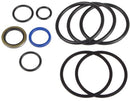 CYLINDER SEAL KIT 3''BORE-1-1/16'' ROD