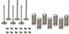 VALVE OVERHAUL KIT