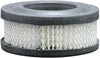 Baldwin Air Compressor Filter (PA1704)