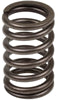 SPRING, INTAKE & EXHAUST VALVE (12 USED PER ENGINE)