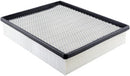Baldwin Air Filter (PA4113)