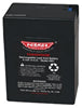 6V BATTERY