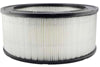 Baldwin Air Filter (PA2092)
