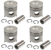 PISTON & RING KIT, .040"