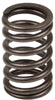 VALVE SPRING