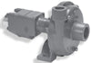 2" X 1-1/2" CAST IRON CENTRIFUGAL PUMP