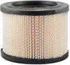 Baldwin Air Filter (PA675)