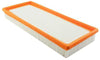 Baldwin Air Filter (PA2101A)