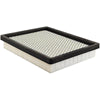 Baldwin Air Filter (PA3929)