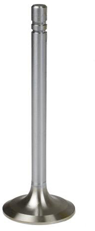 INTAKE & EXHAUST VALVE