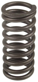 VALVE SPRING