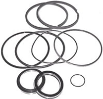 2217-SEAL KIT-LANTEX 4"X1-3/4"