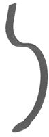 CULTIVATOR SHANK 1/2" THICK