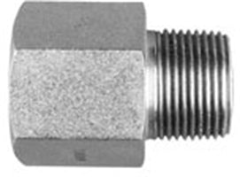 ADAPTER 1/2 FEM ORB x 1/2 MNPT
