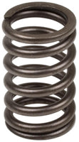 VALVE SPRING