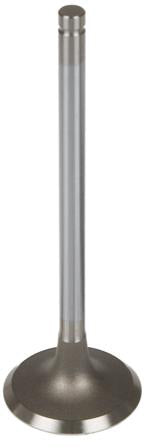 EXHAUST VALVE
