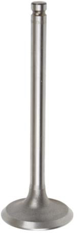 INTAKE VALVE