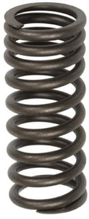 VALVE SPRING