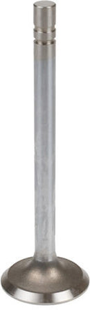 Exhaust Valve