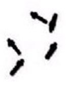 PRESSURE TIP FOR PE60100