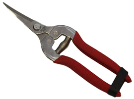 CHROME GRAPE SHEAR SS CURVED