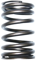 VALVE SPRING