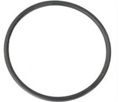 Ace Pump Body O-Ring